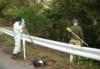 UXO Avoidance as Surveyors Plot Transects during Range Construction, Okinawa, Japan